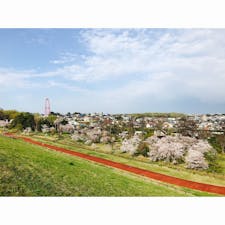 狭山自然公園
2020/4/5
#埼玉