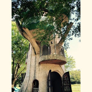 相模原公園
2020/8/29
#神奈川