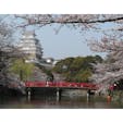 【兵庫県】
🏯姫路城
桜のピンクと姫路城の白が合う！
#世界遺産 #日本百名城