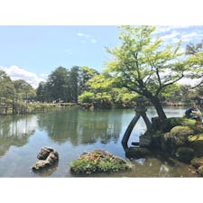 石川県
兼六園
冬にまた見に行きたい。