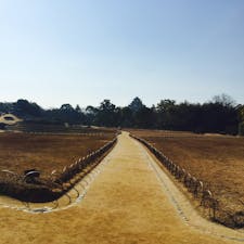 岡山城が正面に見えるひろ〜いお庭