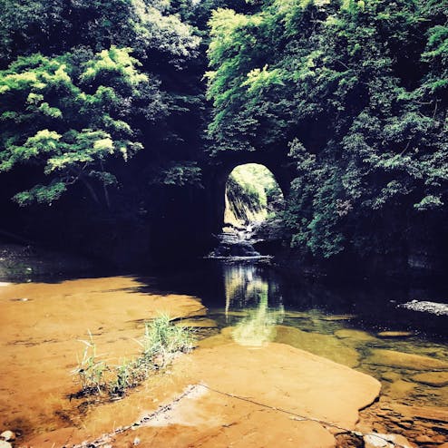 亀岩の洞窟(濃溝の滝)