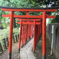根津神社 in Tokyo！！
春には境内のつつじがいっぱい綺麗な花を咲かせるようです。