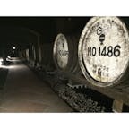 【茨城県】
シャトーカミヤ
ワイン樽がずらーっと並んでいます。
薄暗い感じがなんとも🍷✨