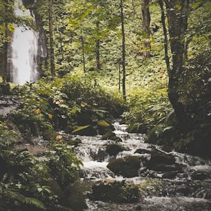 青森 奥入瀬渓流
渓流沿いを歩いて散歩できます。
気持ち良いです。