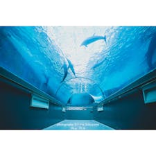 和歌山県太地町立くじらの博物館