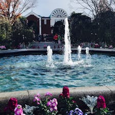 海外に行った気分になれます！
@横浜・港の見える丘公園　ローズガーデン