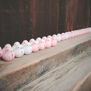 2019.京都.六角堂