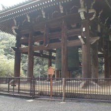 知恩院の大鐘
日本最大級の梵鐘

親綱を持った撞き手が、「えーい、ひとーつ」という掛け声を発すると、それに呼応して子綱を持つ残りの16人の僧侶が「そーれ！」と、タイミングを合わせて撞木しゅもくを大きく引きます。その後、撞き手が撞木に仰向けにぶらさがるようにして、体全体を使って大鐘を打ち鳴らします。こうして108打の鐘が年をまたいで撞かれていきます。

#京都　#全国有名神社仏閣　#梵鐘　#サント船長の写真