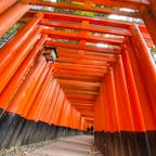 〰️Kyoto🇯🇵〰️
#京都#伏見稲荷神社#千本鳥居