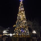 ヴェネツィア　サン・マルコ広場のクリスマスツリー　19年末撮影
