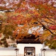 興聖寺の竜宮門
興聖寺は京都府宇治市に有ります。

総門の石門から琴坂を約200mダラダラ坂を上がると正面に竜宮門が有ります。

#京都 #神社仏閣 #サント船長の写真