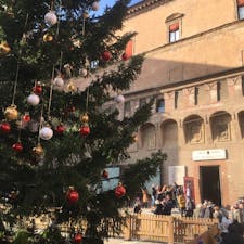 ボローニャ、ネプチューン広場のクリスマスツリー
19年末撮影