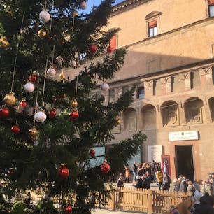 ボローニャ、ネプチューン広場のクリスマスツリー
19年末撮影