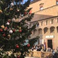 ボローニャ、ネプチューン広場のクリスマスツリー
19年末撮影