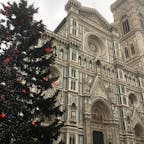 ご存知フィレンツェ大聖堂とクリスマスツリー　19年末撮影