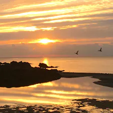 山口県宇部市
周防灘
夜明け