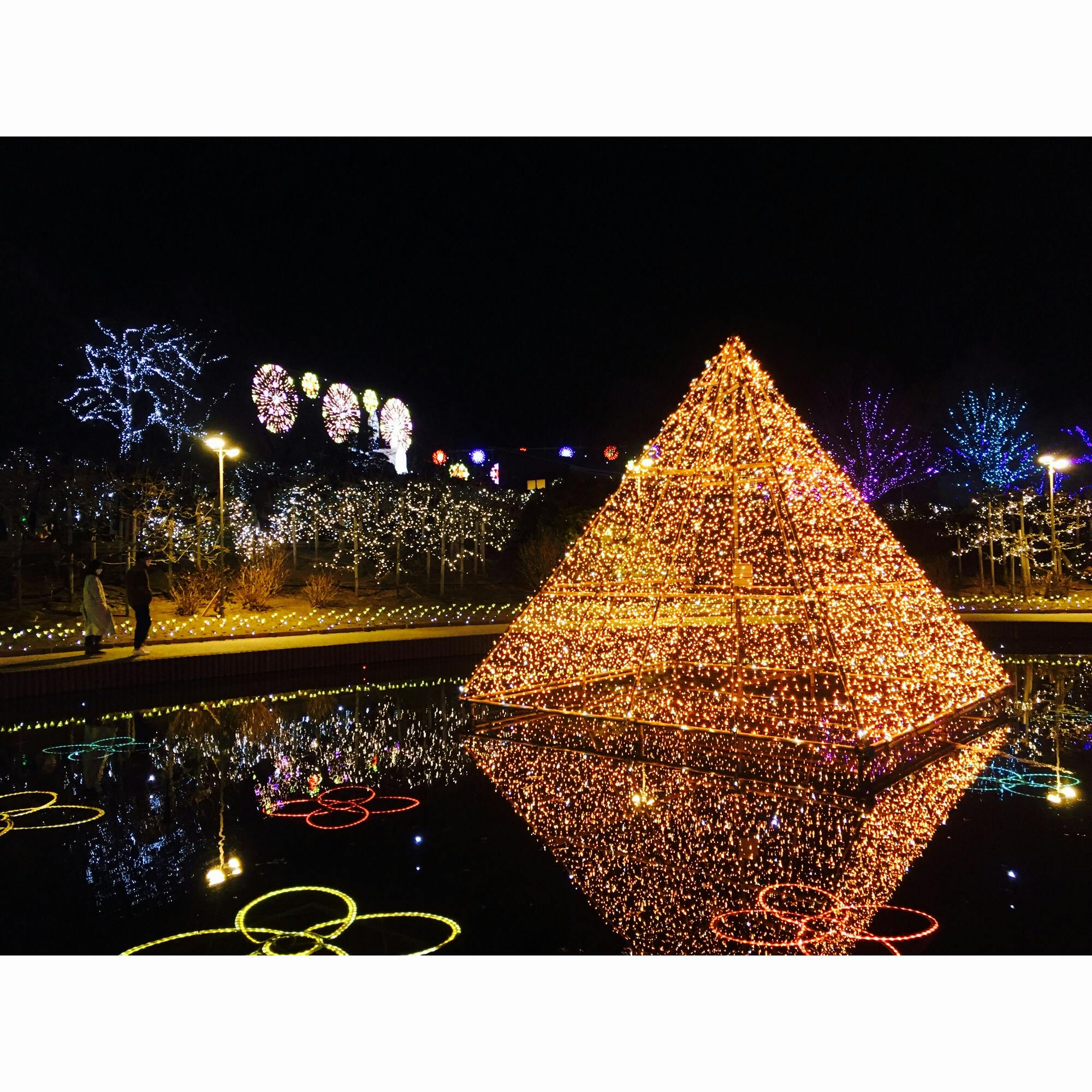 あしかがフラワーパークの投稿写真 感想 みどころ 栃木県 あしかがフラワーパーク トリップノート