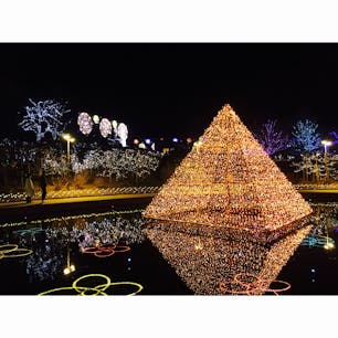 栃木県　あしかがフラワーパーク