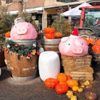 #もくもく手作りファーム

#三重
#伊賀