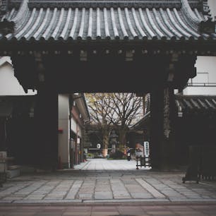 本能寺

織田信長にちなんだ展示物や戦国武将に扮したパフォーマーがいらっしゃったりエンターテイメント感がある入口周辺。
また、桜がとても綺麗で、家族連れなどで賑わってた。
龍雲院さんで御朱印をいただいた際、織田信長の迫力あるイラストの前でお写真を撮っていただいたり、とても有難いお話を聞けたり、とても素敵な場所だなと思いました☺️本能寺前の商店街内にある古書店も良き😊😊

#総本山　#本能寺
#桜の季節に行けて良かった