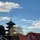 東寺　(終い弘法)
12月21日の天気は晴れですが、25日の天神さんは雨と相場が決まっている、又弘法さんが雨なら天神さんは晴れです。
25日の天神さんも縁日です。

東寺（教王護国寺）の五重塔は日本一の高さを誇る木造塔（５４．８メートル）

#サント船長の写真　#全国有名神社仏閣　#五重塔