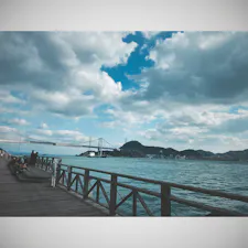 #山口　#下関　#唐戸市場