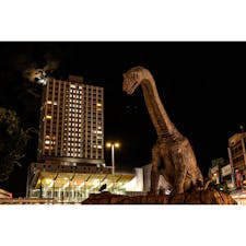 福井県
〜福井駅前〜
恐竜県と呼ばれる福井県の
駅前には恐竜のオブジェが
ドーンと設置されてます🦕