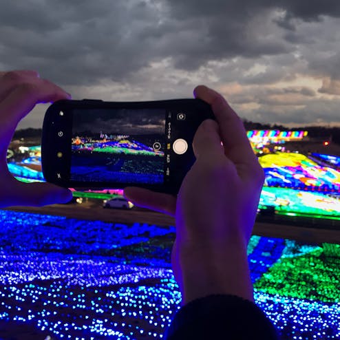 東京ドイツ村 ウインターイルミネーション