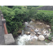 鶴亀橋
大手川に架かる橋に鶴亀橋と言う橋が有ります。又此処は加悦町と福知山への別れ道でも有りますし、途中に大江山が有ります。
お正月とか結婚・縁起が良い時に渡れば最高かなぁ😊

#全国橋巡り #サント船長の写真