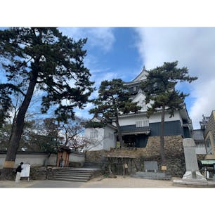 岡崎城
#202101 #s愛知