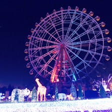 2020.11.28

#東武動物公園
#埼玉