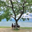 あのベンチ

彦根の琵琶湖湖畔にある「あのベンチ」は癒されます。

行ってみたいと、思う方は、此の住所をナビに、滋賀県彦根市石寺町１３３１

#あのベンチ　#サント船長の写真　#滋賀県