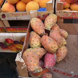 カターニア市場にて
シチリア名物フィーキディンディア(ウチワサボテン)の実
ジェラートやリキュールもあるよ
味は柿を薄くしたような感じです　トゲトゲに注意