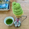 屋久島にある「八万寿茶園」﻿
﻿
とにかく衝撃の神コスパ！🍵﻿
﻿
なんと200円で美味しい且つ有機JAS認定されている抹茶ソフトクリームとお茶が頂けるという奇跡✨﻿
個人的に日本一コスパの良い抹茶スイーツだと思っているので、もしこちらを上回る素晴らしい抹茶スイーツがあれば情報ください！😂﻿
﻿
﻿
﻿
﻿
#greentea #cafe #tea #tearoom﻿
#yakushima #kagoshima #japan﻿
#matcha #icecream #sencha﻿
#organic #organictea ﻿
#屋久島 #鹿児島 #日本﻿
#八万寿茶園 #茶園 #日本茶﻿
#抹茶 #抹茶ソフト #ソフトクリーム﻿
#オーガニック #オーガニックティー﻿
#抹茶スイーツ #抹茶好き #抹茶控﻿
#カフェ巡り #スイーツ巡り #抹茶情報﻿
#ijustlovegreentea﻿