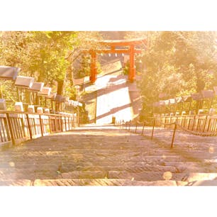 23区内で天然の山として1番高い「愛宕山」へ⛰
山頂には愛宕神社があり、出世の石段をはじめ、様々な見どころが多く楽しかったです☺️