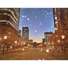 #東京駅
#早朝
春が待ち遠しいです☺️🌸