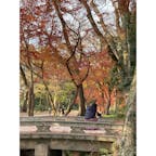 静かな夕暮れを散策

京都
下鴨神社
糺の森

2020.12
