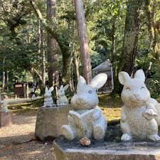 可愛いうさぎさんいっぱい