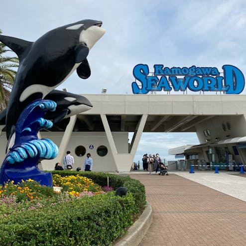 鴨川シーワールドの写真 鴨川シーワールド トリップノート 鴨川シーワールドの写真 鴨川シーワールド トリップノート