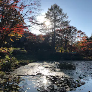 六甲高山植物園
自然が楽しめる穴場スポット
#六甲#植物園#神戸