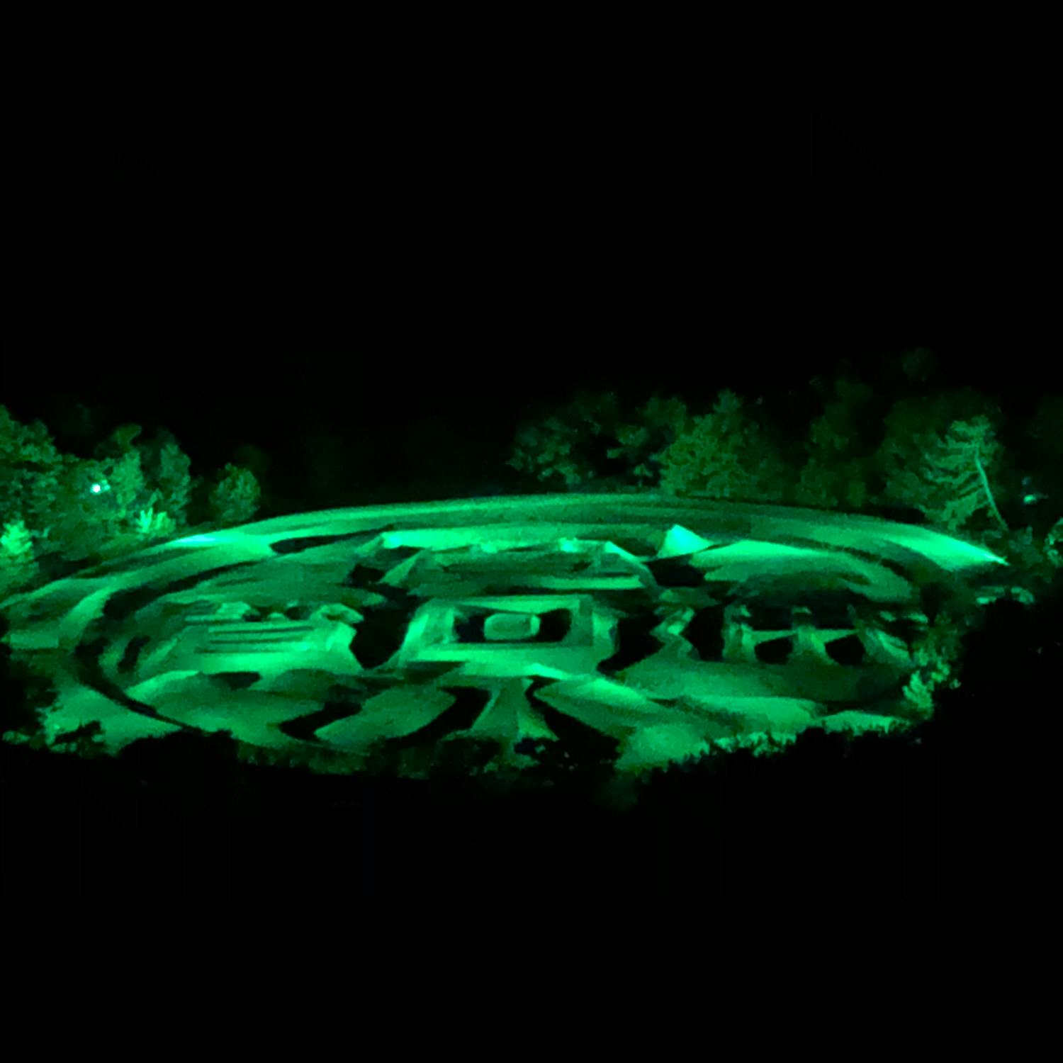 銭形砂絵の投稿写真 感想 みどころ 香川県観音寺市にある銭形砂絵夜のライトアップをギリギリ見に トリップノート