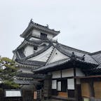 高知城
400年の歴史がある重要文化財
江戸時代から天守が現存している12城の1つ
ここから城廻りを始めました笑