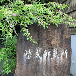 紫式部墓・小野篁墓
堀川通りから此の銘石は見えます。


#サント船長の写真　#歴史的人物の墓　#京都