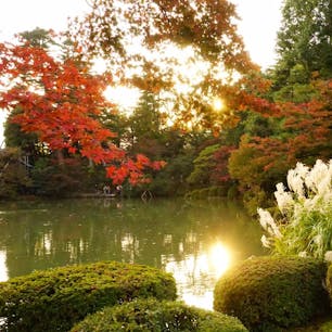 #石川　#兼六園　#2017aut