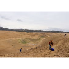 【鳥取砂丘】鳥取

日本海海岸に広がる広大な砂礫地で、代表的な海岸砂丘