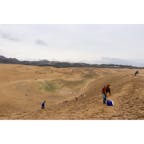 【鳥取砂丘】鳥取

日本海海岸に広がる広大な砂礫地で、代表的な海岸砂丘