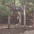 京都三珍鳥居
「京都三珍鳥居」とは、京都市にある３つの神社の珍しい鳥居のことである。

①京福電鉄嵐山線の「蚕ノ社（かいこのやしろ）」駅の側に石鳥居がある。
車が通る道路だが、そこから続く参道の突き当たりに社の森が見える。

「木島（このしま）神社の三柱鳥居」
として載せているが、珍しい３本足の鳥居が立っている。
「三柱（みはしら）鳥居」と言われている鳥居である。
何故３本の柱なのか詳しい理由は分かっていないそうだ。 

#鳥居　#サント船長の写真　#神社仏閣　#京都