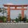 平安神宮大鳥居（へいあんじんぐうおおとりい）は、京都府京都市左京区の平安神宮の応天門から約300メートル南の神宮道に所在する、高さ24m、幅18mの大鳥居である。

柱下部の藁座に扉があって、そこから鳥居内部に入ってメンテナンスが行われてるそうな。

#サント船長の写真　#鳥居　#神社仏閣　#京都