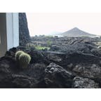 ランサローテ島
#カナリア諸島🇮🇨
#火山で出来た島
#セサルマンリケ